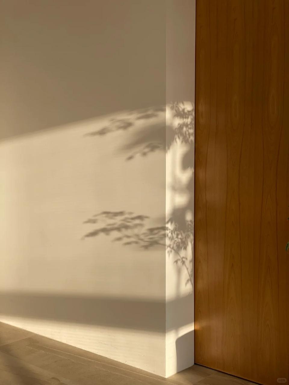 2026-01-23 15.53.58.jpg